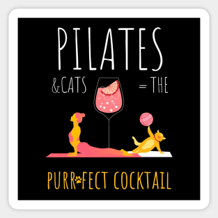 Pilates & Cats Sticker